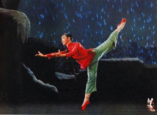 cpa证书编号含义